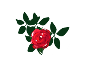 answer_image